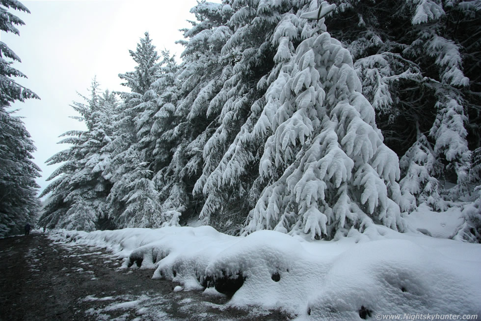 Glenshane Forest Snow