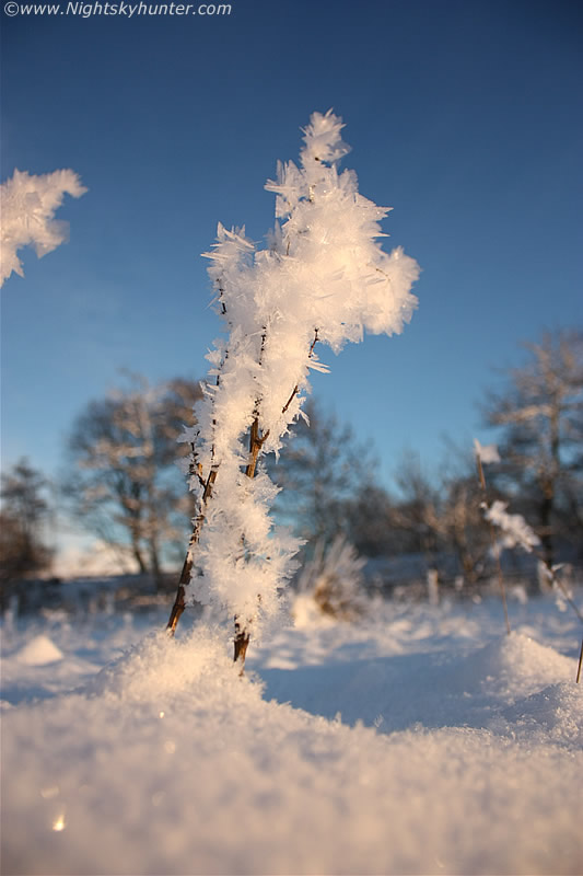 Drag lift in hoar frost, frost and fog - a Royalty Free Stock Photo from  Photocase