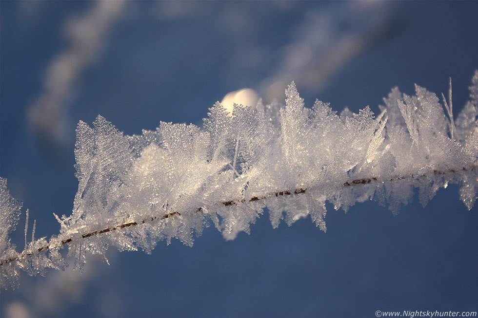 Hoar Frost