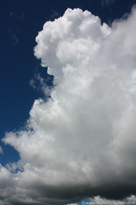 Massive Cells, Lough Neagh, Antrim Marina