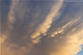 Mammatus