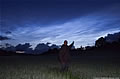 Noctilucent Clouds