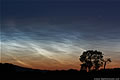 Noctilucent Clouds