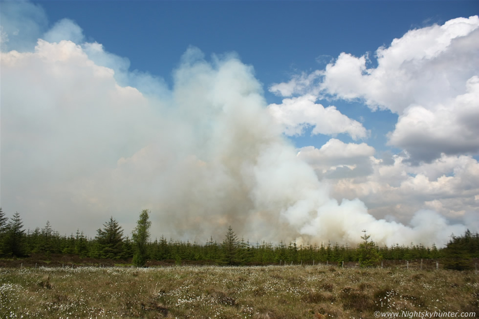 Omagh Gorse Fire