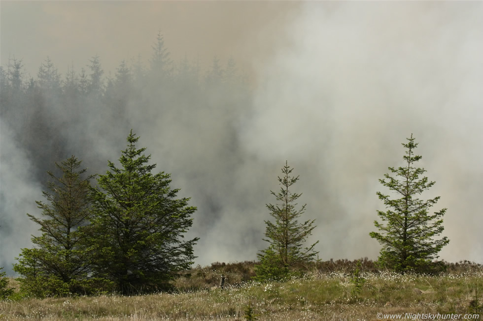Omagh Gorse Fire