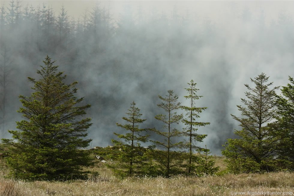 Omagh Gorse Fire