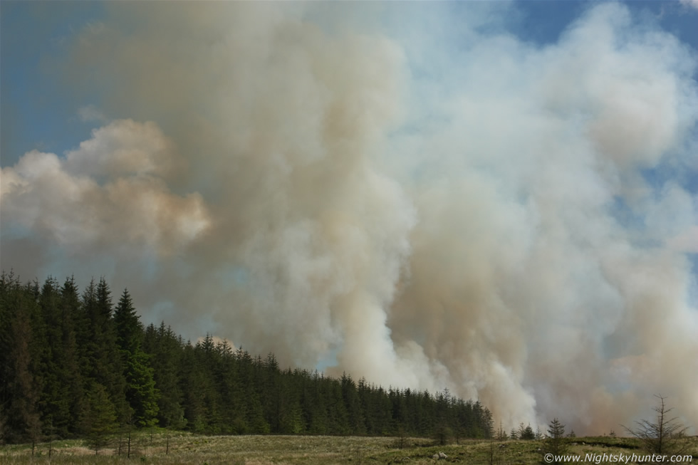 Omagh Gorse Fire