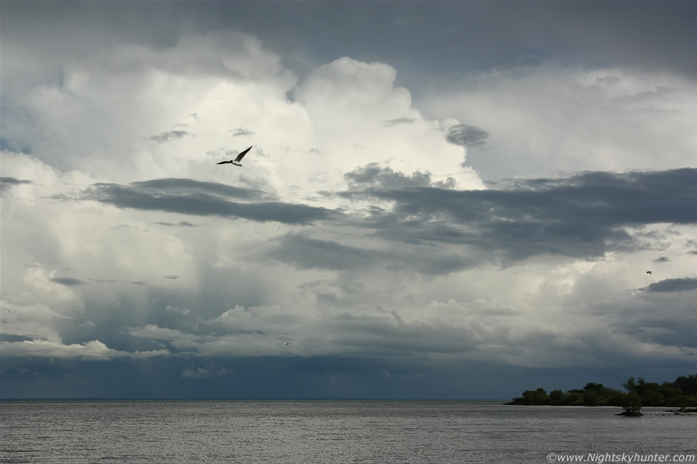 Storm Chasing