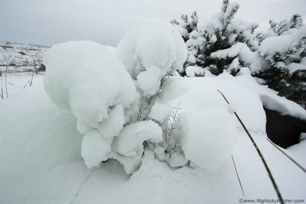 Winter Storm