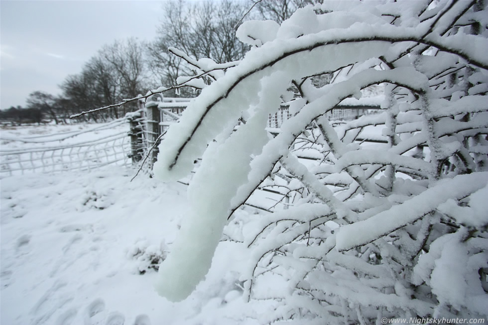 Winter Storm