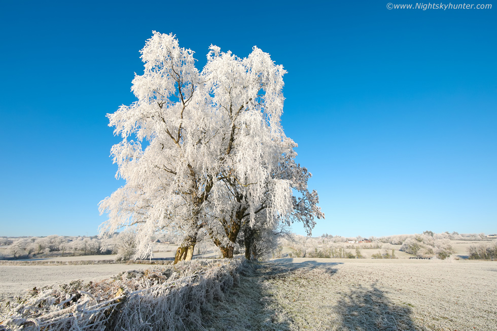 Spectacular Hoar Frost Image Report