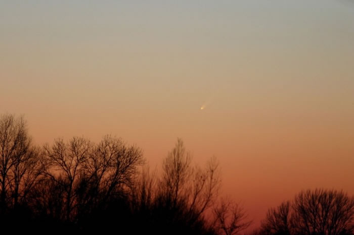 Comet McNaught